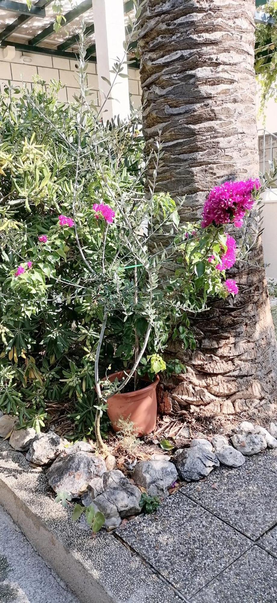 Apartments Fani Kanun Bol Luaran gambar